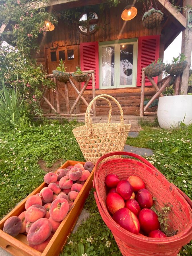 Meena Bagh Ratnari- An Apple Orchard Bungalow Bagi Eksteriør bilde