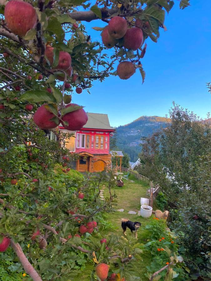 Meena Bagh Ratnari- An Apple Orchard Bungalow Bagi Eksteriør bilde